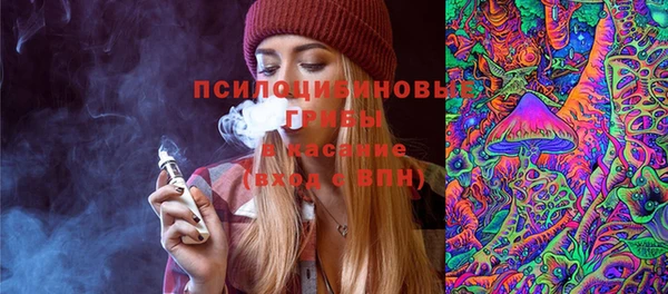 тгк Алзамай