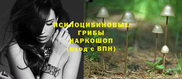 прущие грибы Алексеевка
